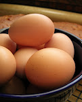 Fresh Eggs