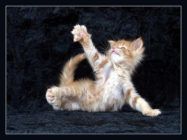 [cddf93a95671[1].jpg]