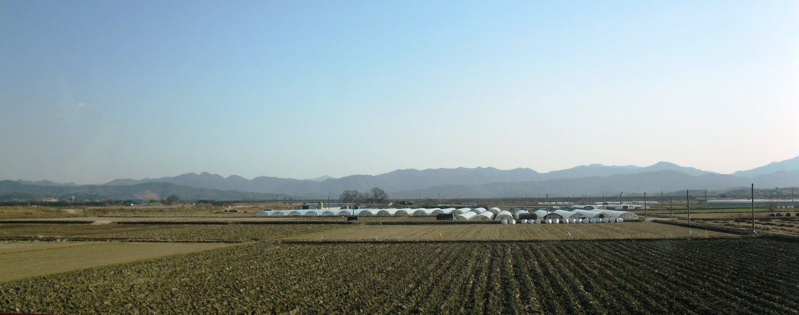 [IMG_1948.JPG]