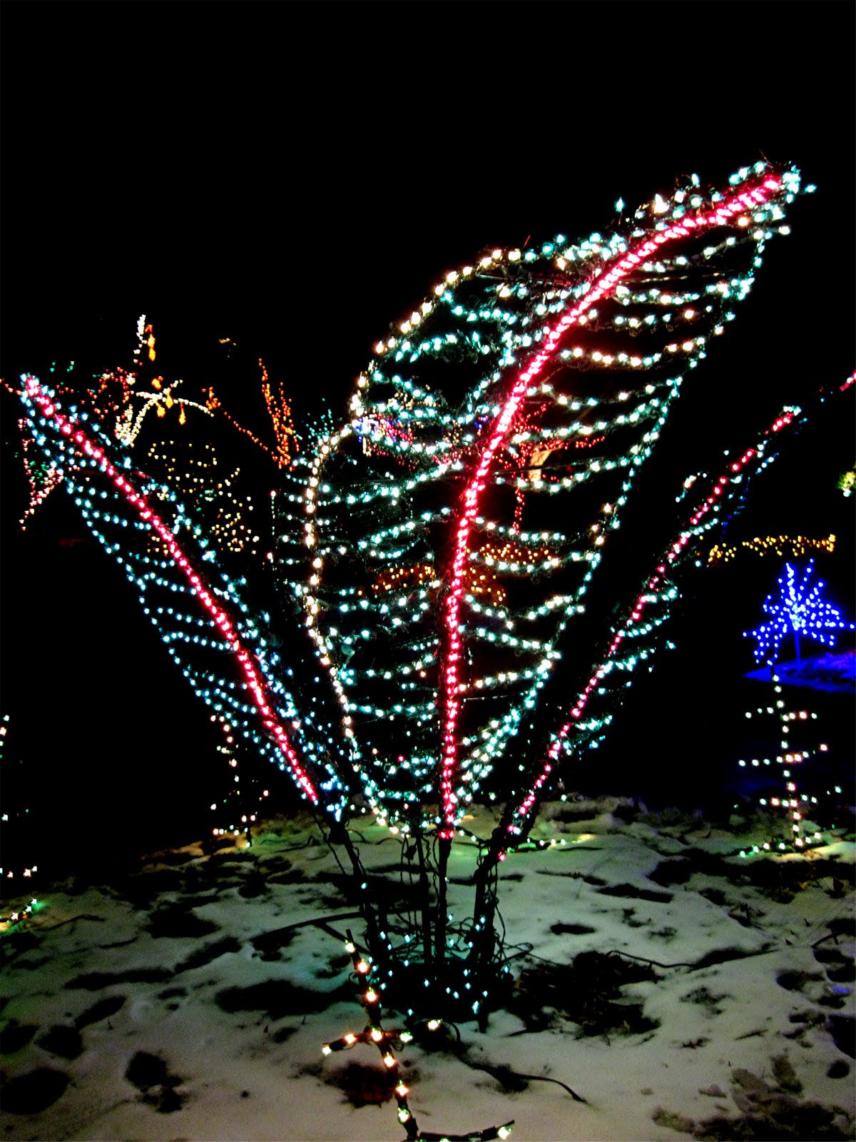 1003 gardens brookside gardens holiday light display 1003 gardens brookside gardens holiday light display