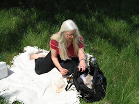 Get the picnic hamper out!