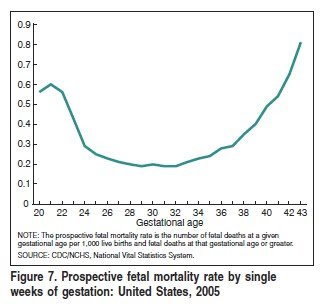 Fetal+mortality+2005.jpg
