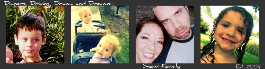 Diapers, Driving, Drama and Dreams...