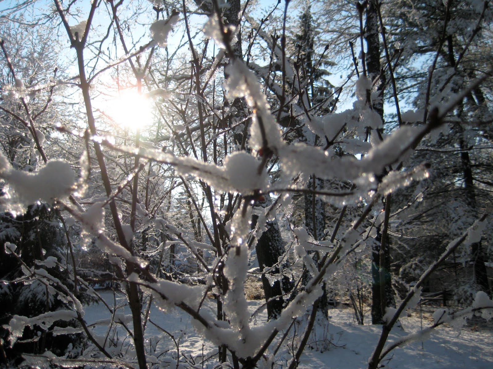 [IMG_2538.JPG]