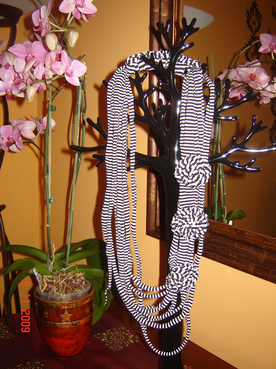 [DSC04813.JPG]