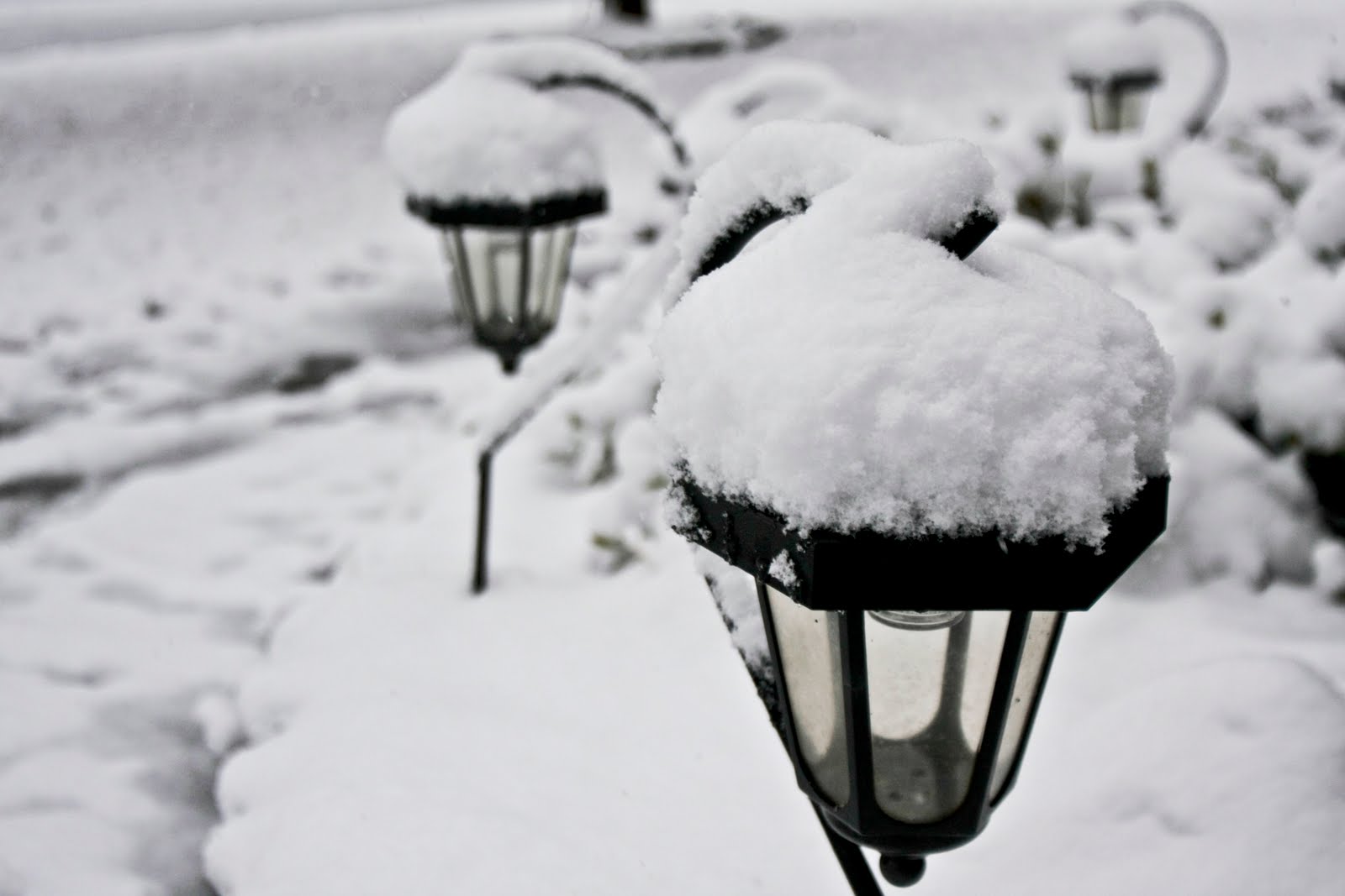 [Snow+2010+03.jpg]