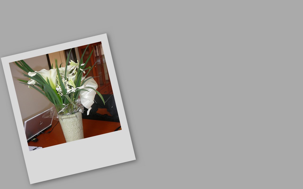 [Bouquet+de+Fleur+collage.jpg]