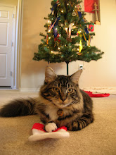 Santa Paws is coming to town!