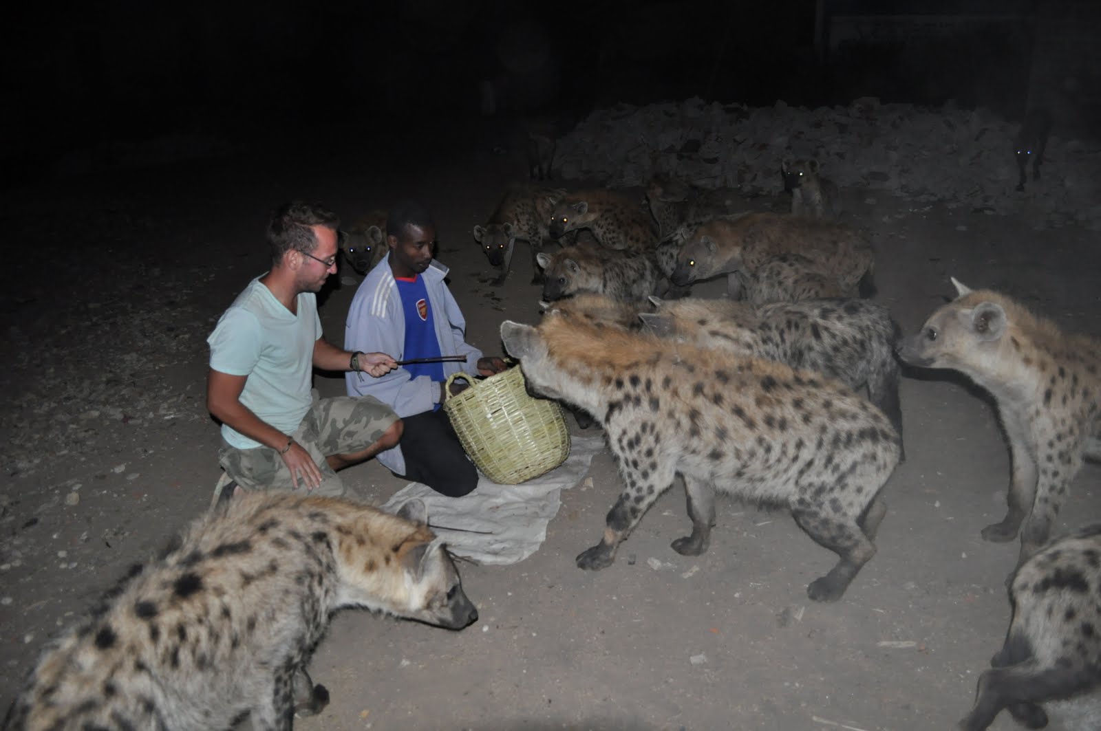Hyena Wiki
