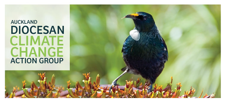(Auckland Anglican) Diocesan Climate Change Action Group