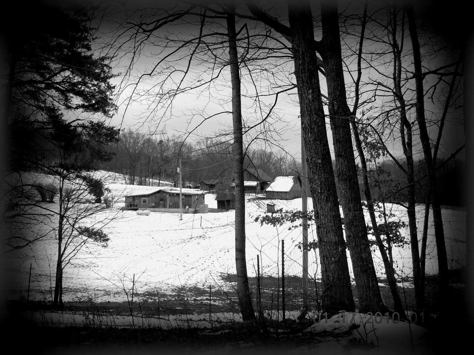 In My Corner of Appalachia A Visit to a Farm in GruetliLaager, Tennessee