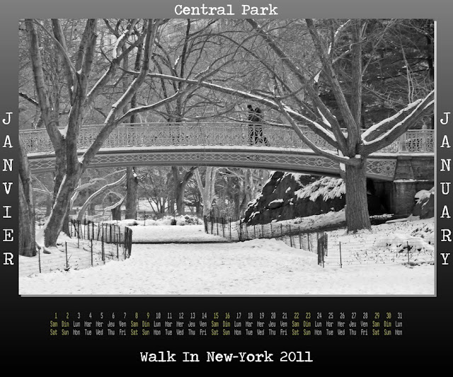 Walk in New York: Calendar New York 2011 - January 2011