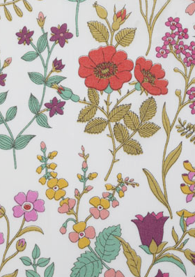 Quentin+blake+wallpaper