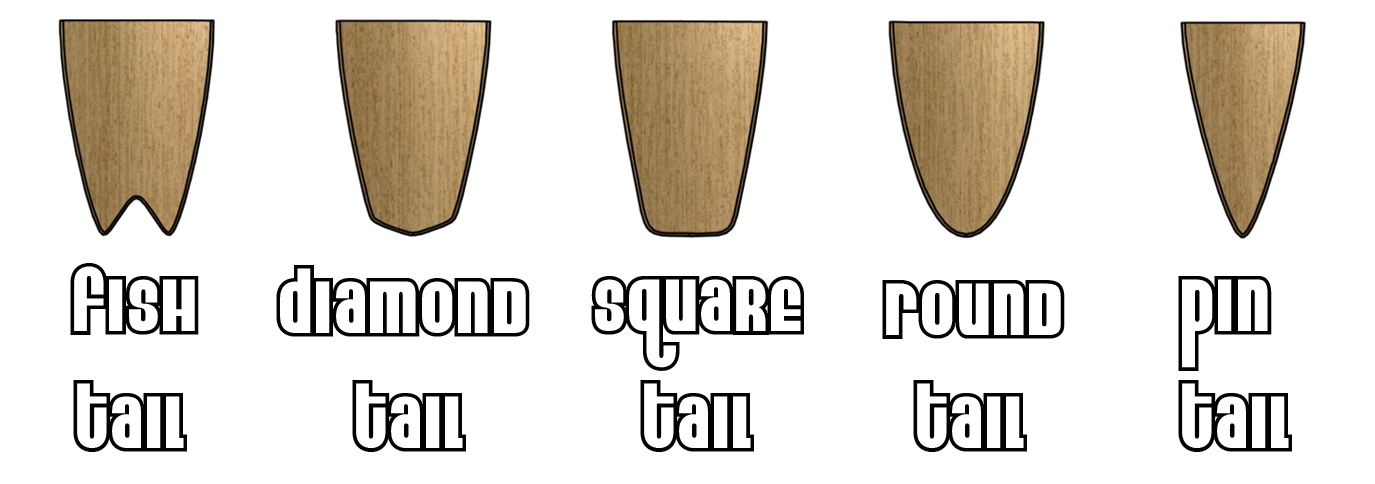 [tail2.jpg]