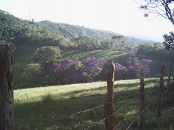 Caminho do peregrino