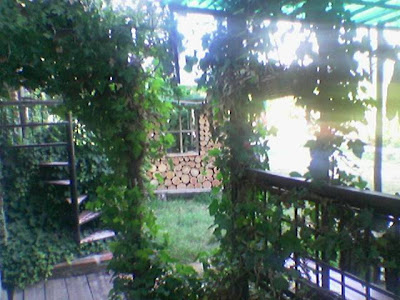 stairway to Heaven stairway to Heaven