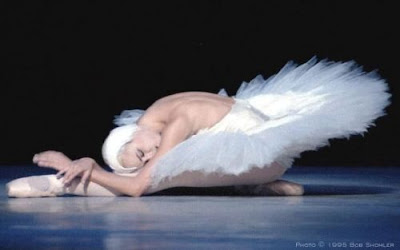 http://4.bp.blogspot.com/_THMGZwqj29g/SCslQ5Q7FRI/AAAAAAAAAQU/tZ4q0t6FvmY/s400/o_lago_dos_cisnes03.jpg