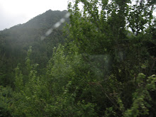 Cordillera camino a NELTUME