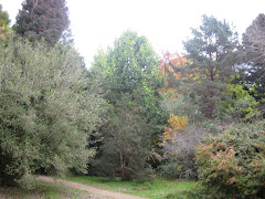 Jardín Botánico