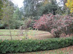 Jardín Botánico