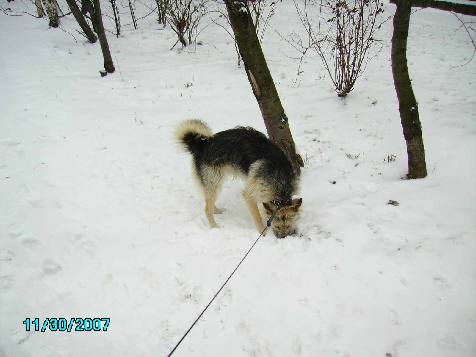 [PICT0171.JPG]