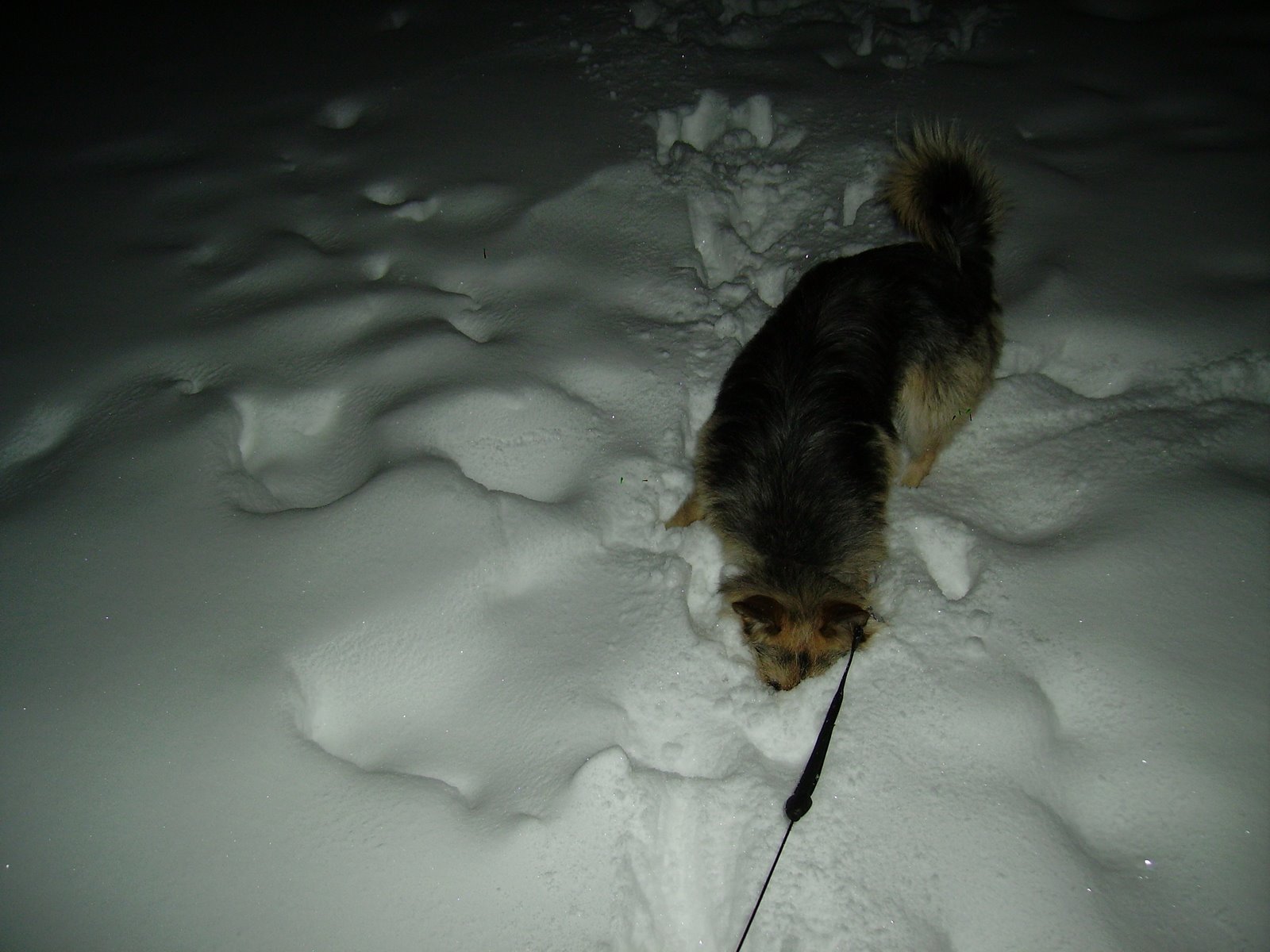 [PICT0392.JPG]