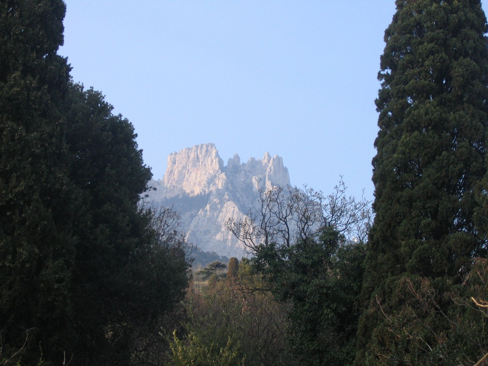 [IMG_0301.JPG]