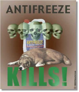 [Antifreeze3.jpg]