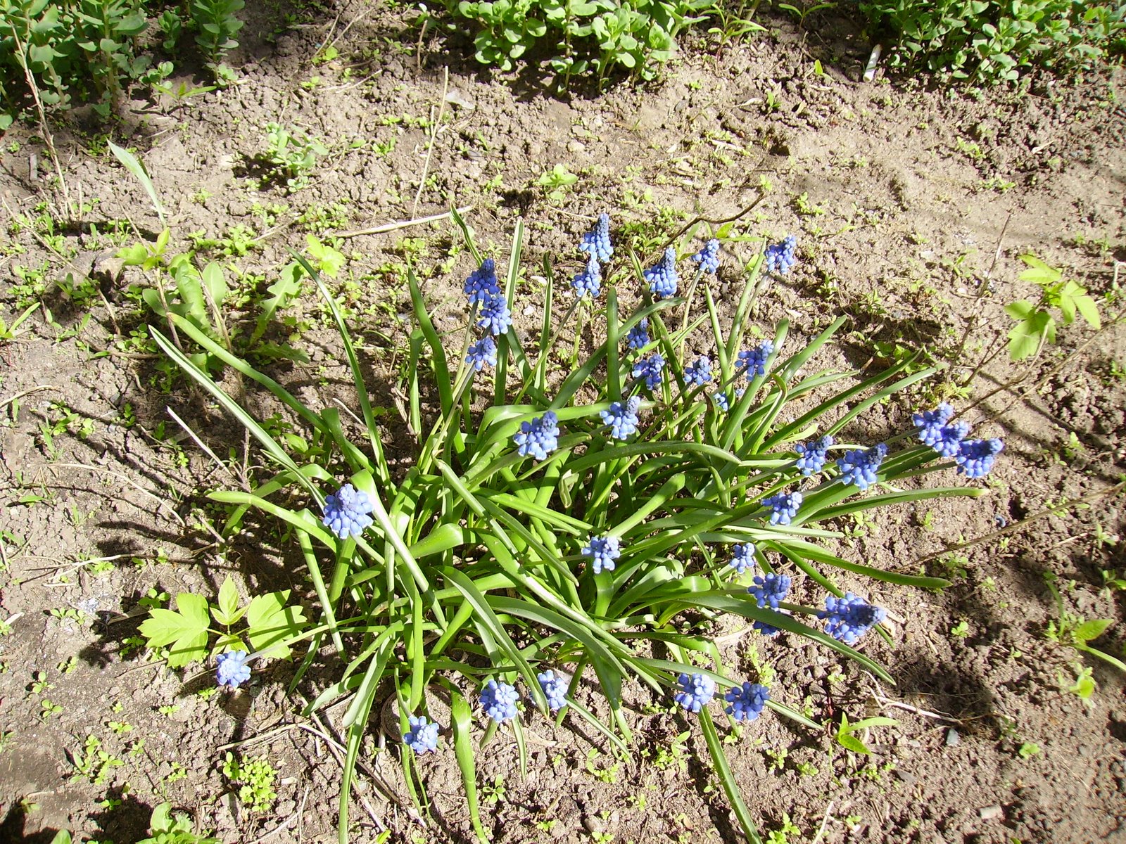 [PICT0591.JPG]