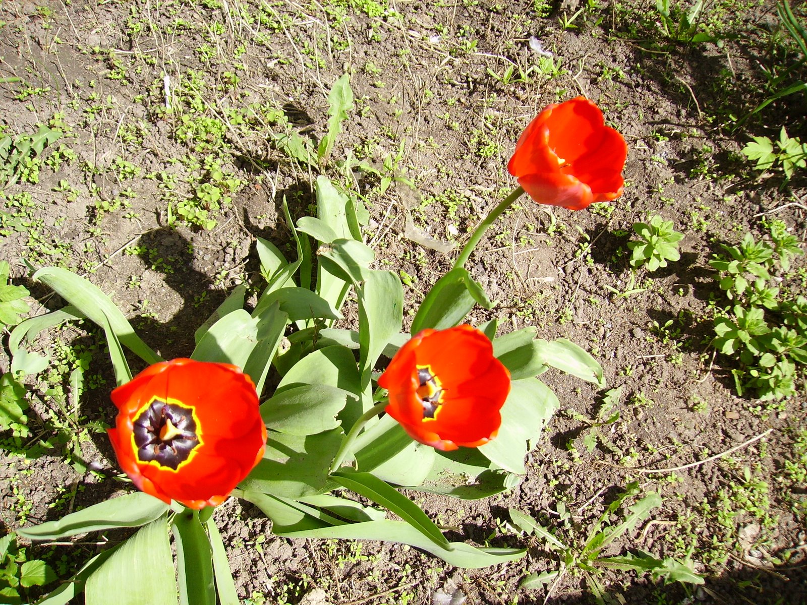 [PICT0587.JPG]