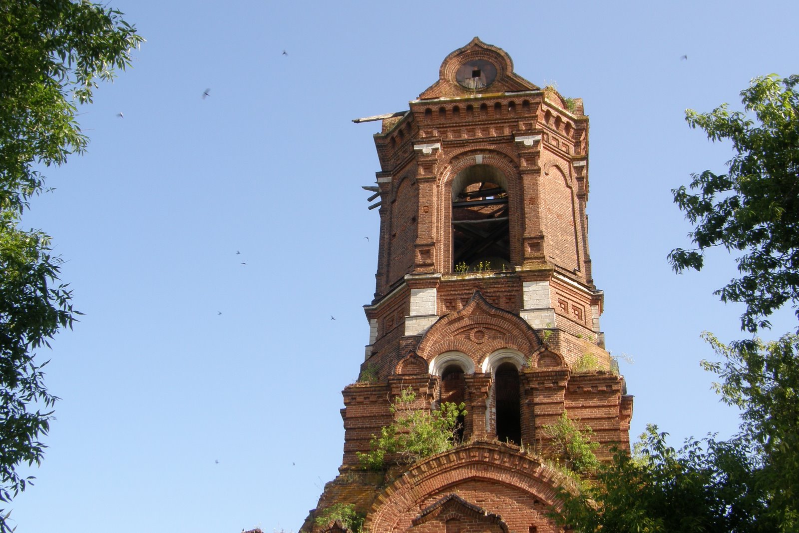 [P6152956.JPG]