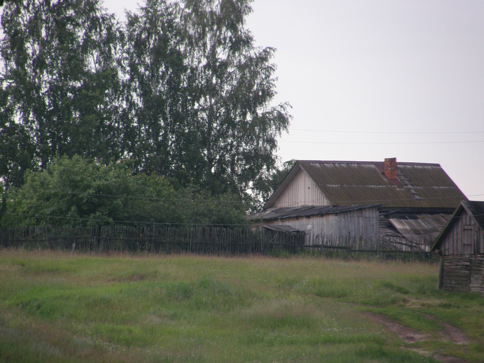 [P6163277.JPG]