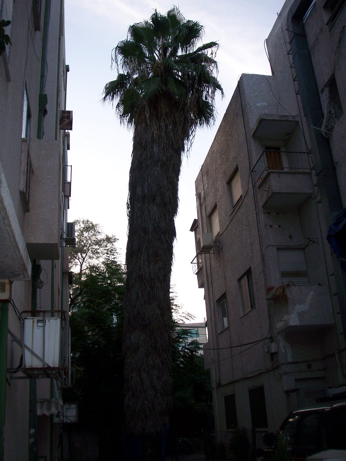 [100_3848.JPG]
