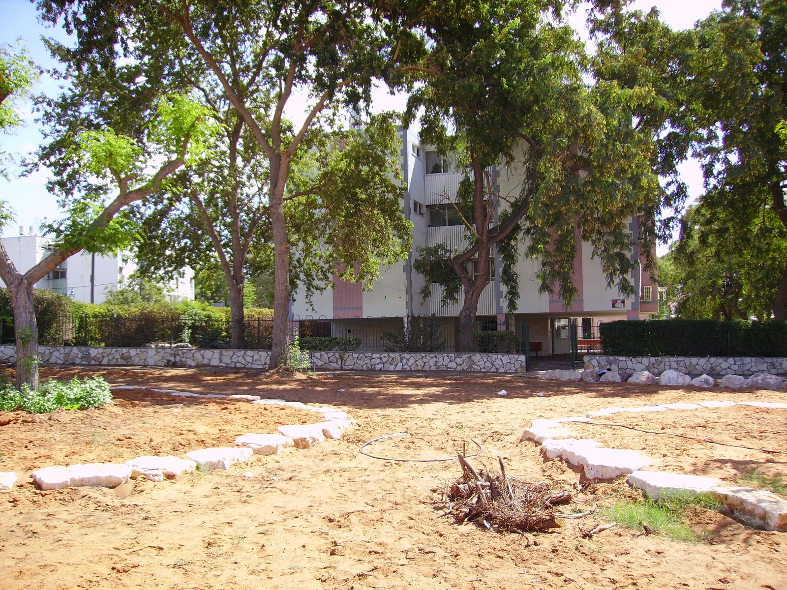 [PICT0717.JPG]