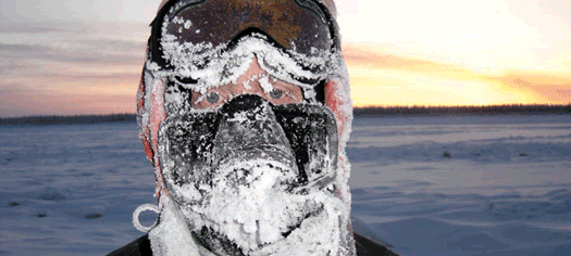 [photo_siberia.gif]