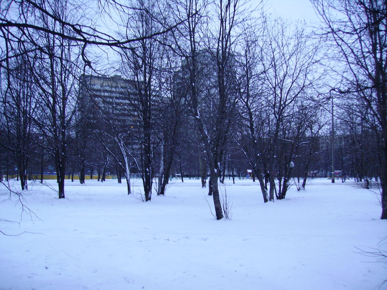 [PICT0736.JPG]
