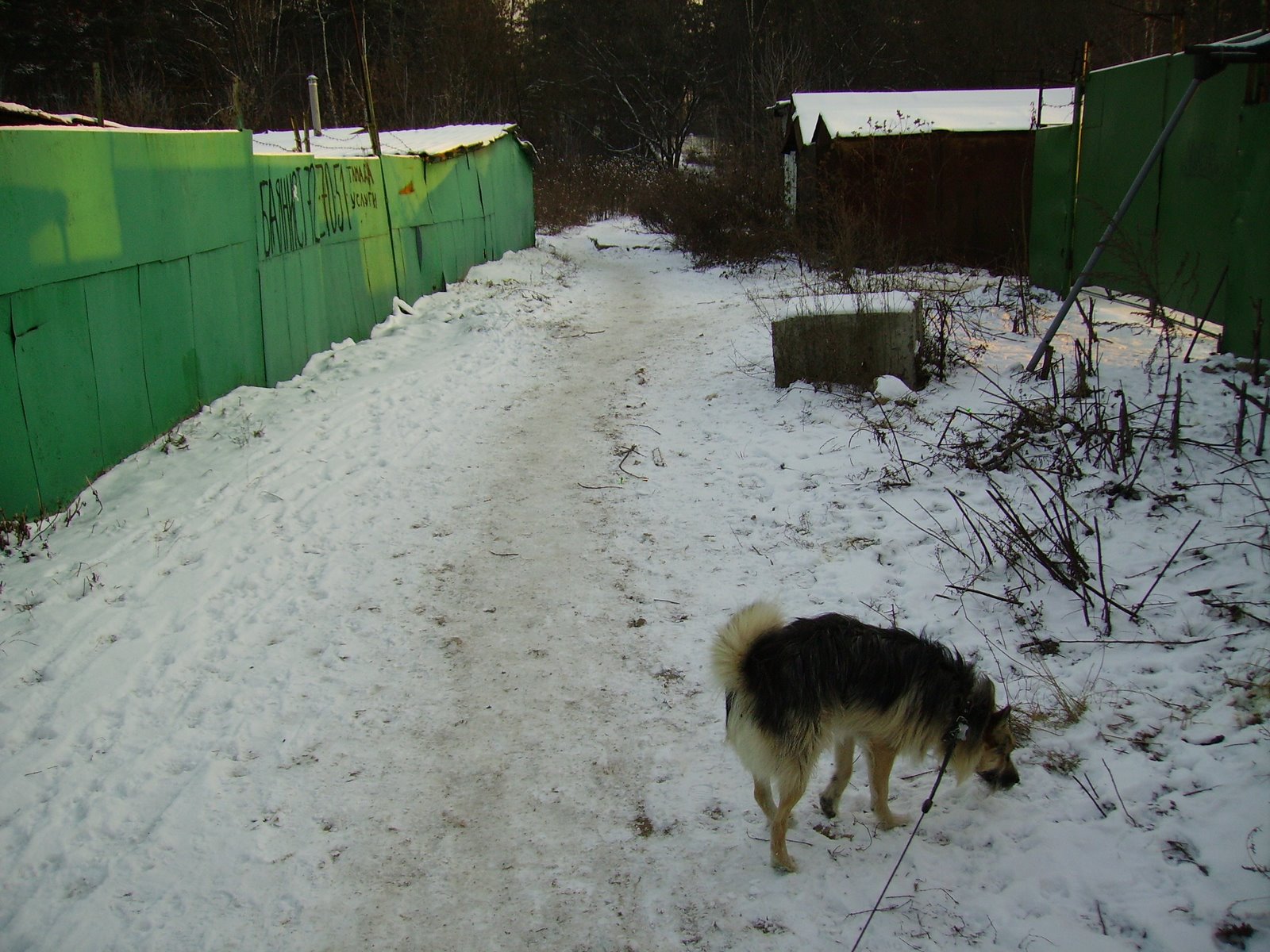 [PICT0758.JPG]