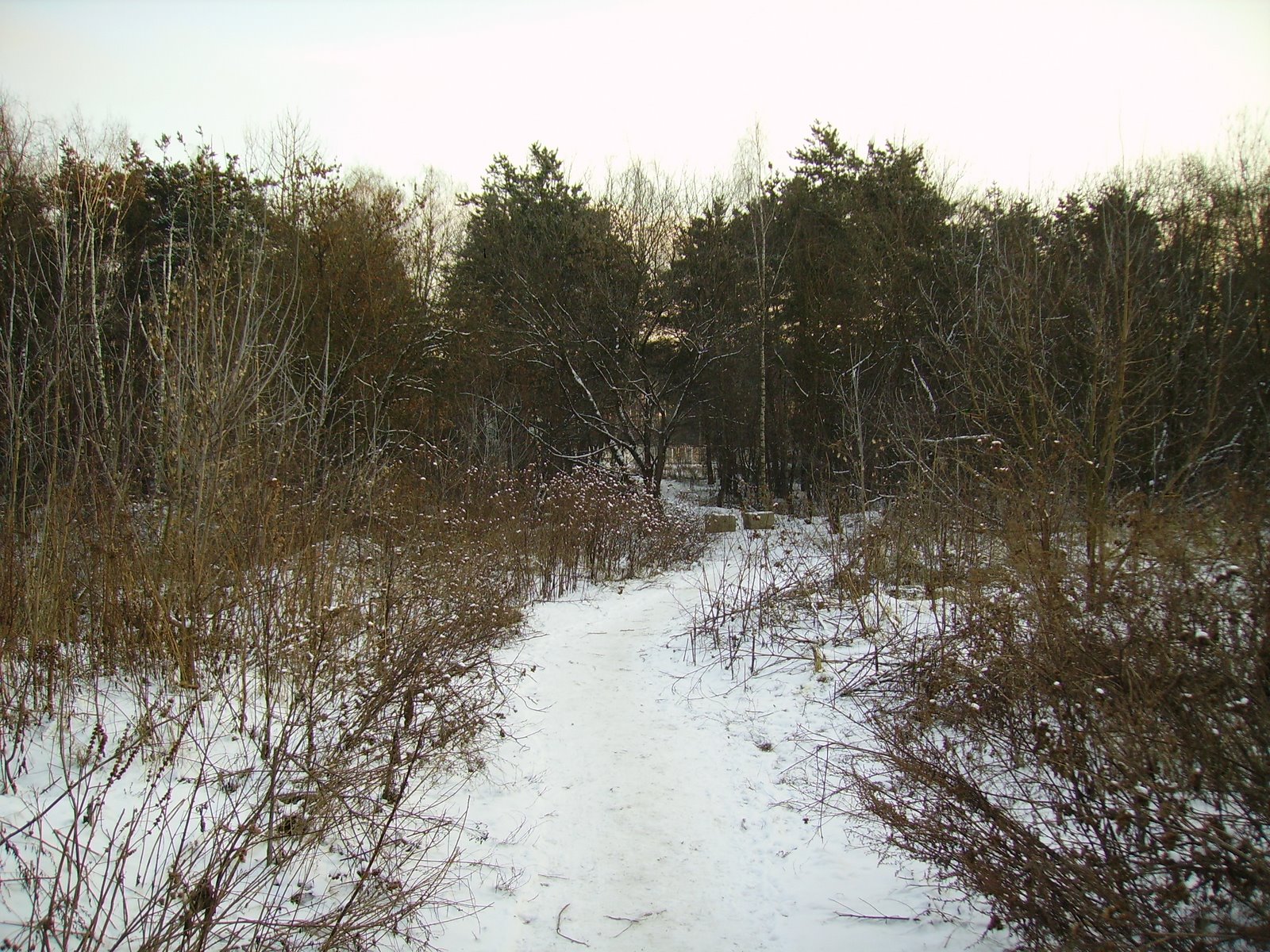 [PICT0773.JPG]