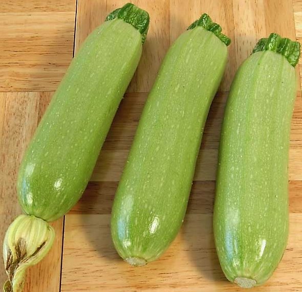 [squash+posh.jpg]