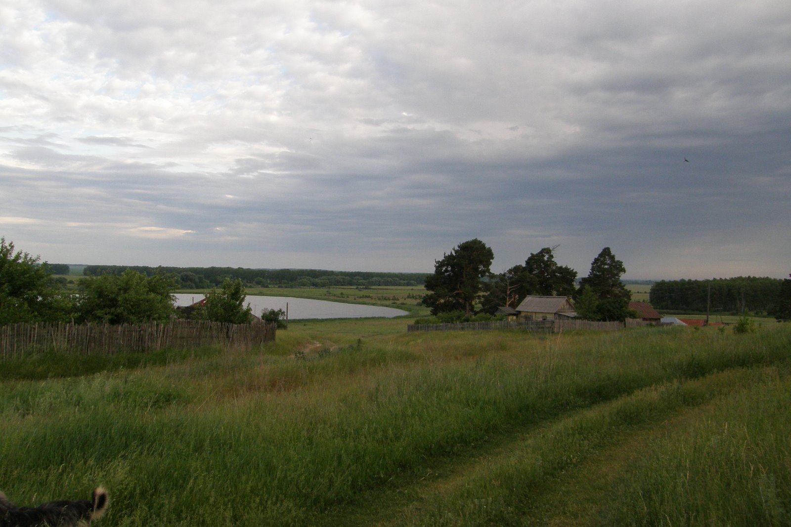 [P6133811.JPG]