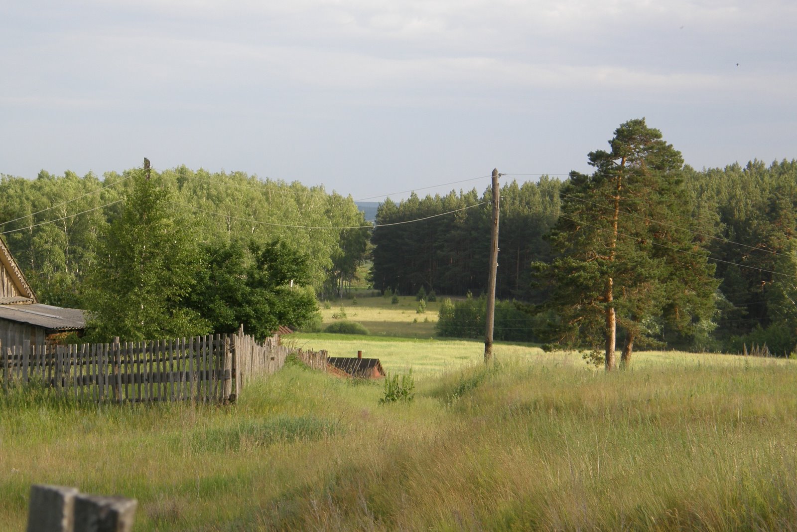[P6134021.JPG]