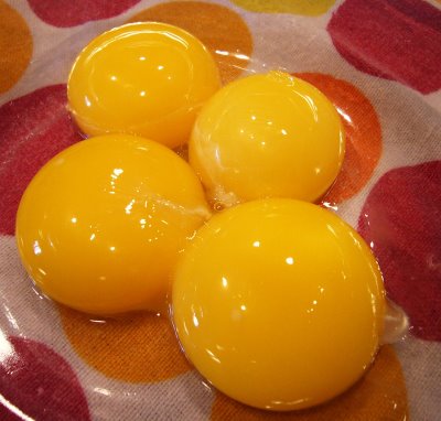 [egg+yolks.JPG]