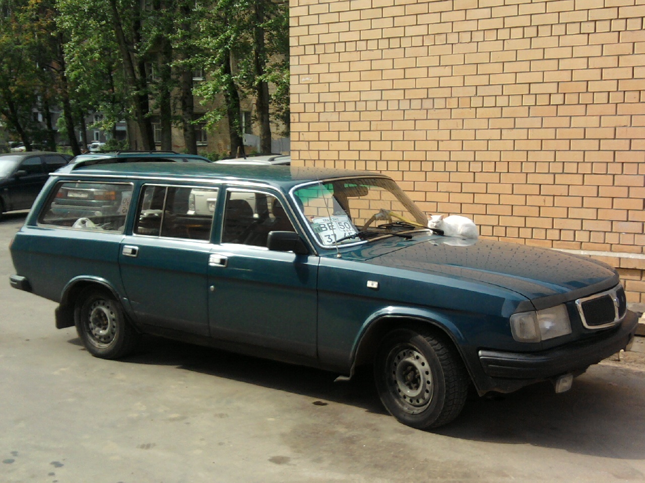 [Photo009.jpg]