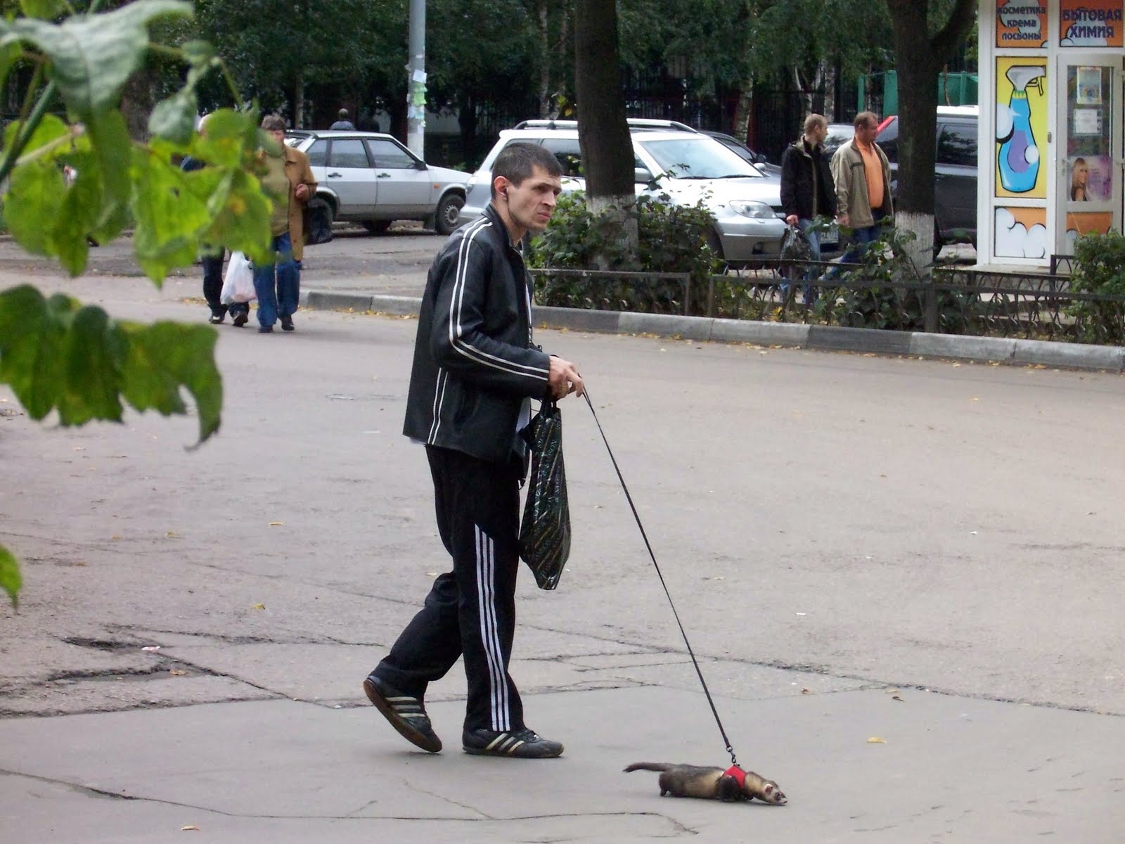 [100_5097.JPG]