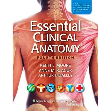 outschool3: Essential Clinical Anatomy, Fourth Edition