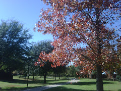 Beautiful Fall Walk
