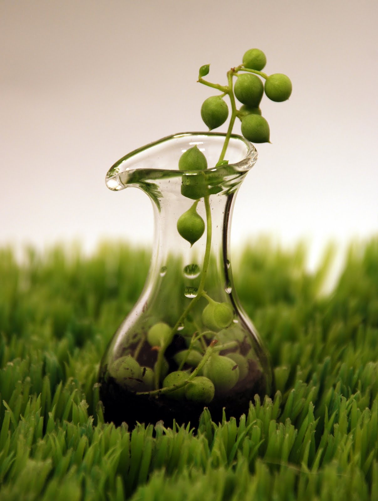 the Garden of Leah Tiniest of Terrariums