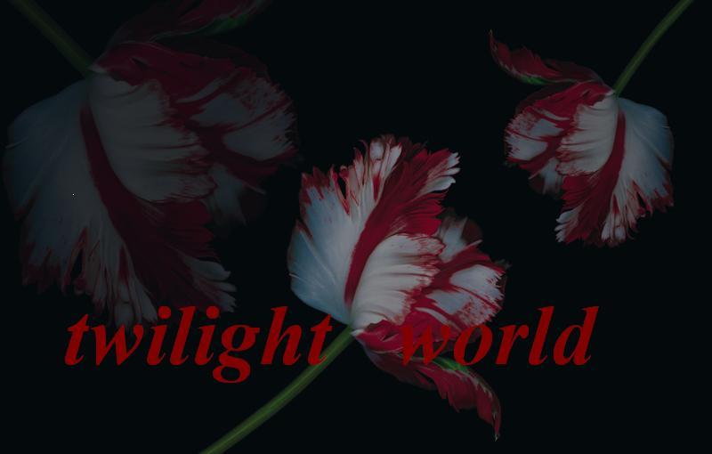 twilight world