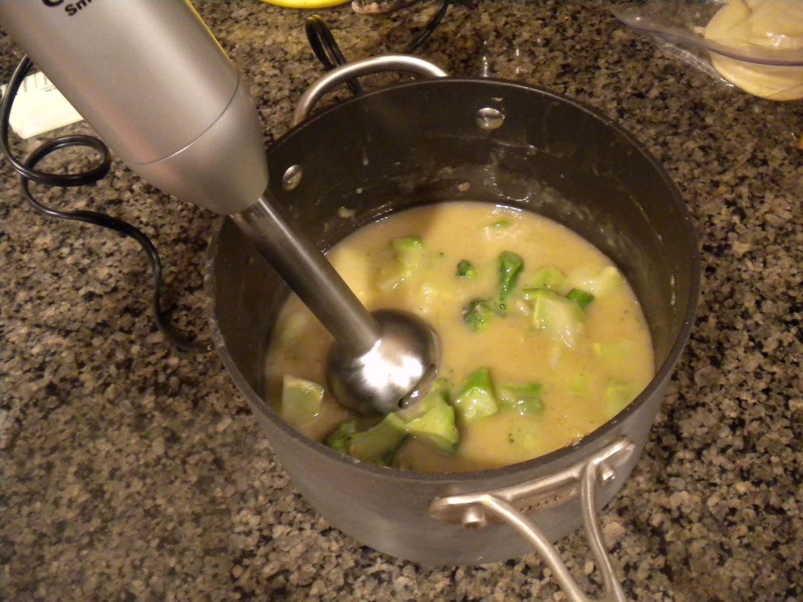 Best Immersion Blender For Soups at Emil Mize blog