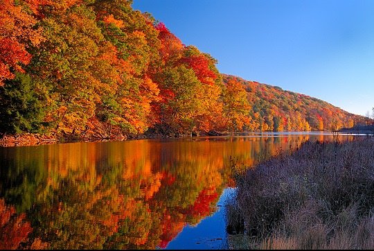 [fall+foliage+(2).jpg]